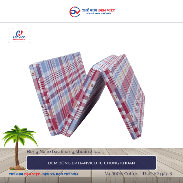 Đệm bông ép TC chống khuẩn Hanvico 6